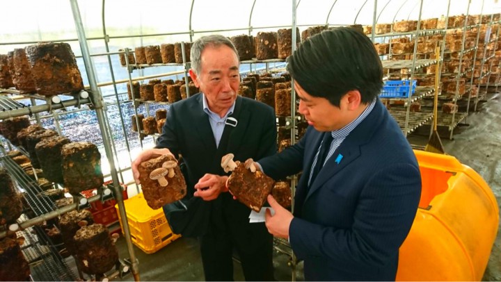 地元のしいたけ栽培を視察