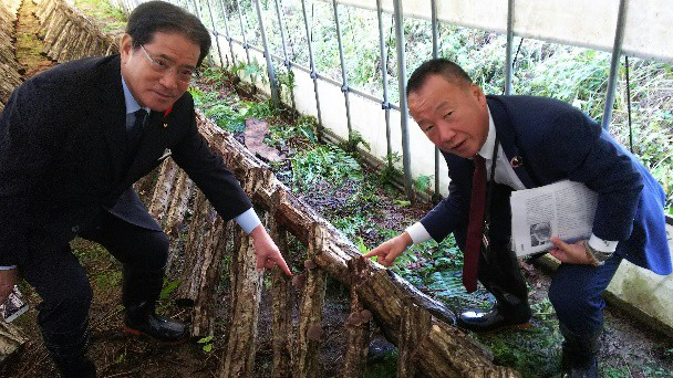 シイタケ生産・ホダ場にて