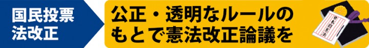 政策解説国民投票法改正