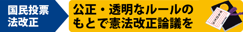 政策解説国民投票法