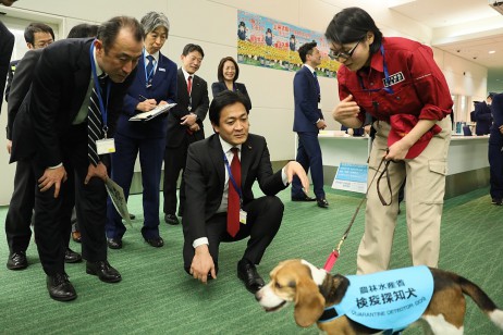 検疫探知犬の活躍と課題について話を聞く玉木代表ら