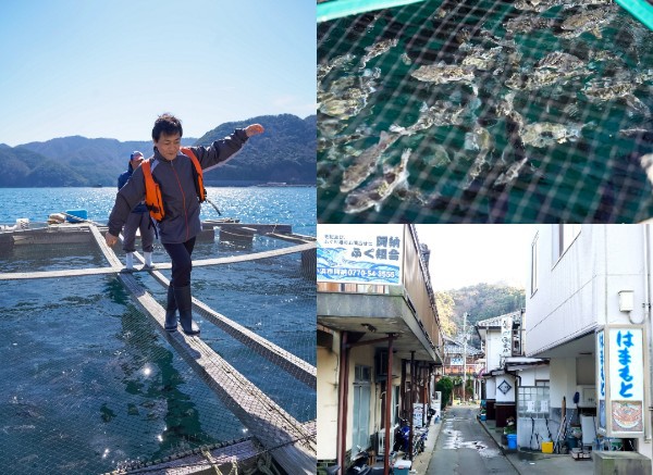ふぐ養殖場(左)と地元の民宿街(右下)