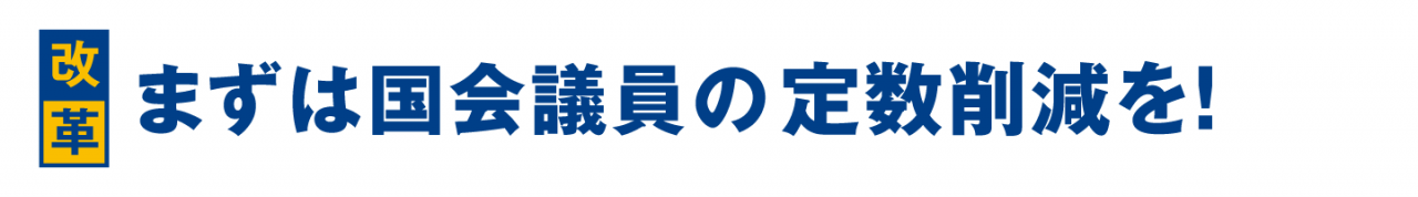 まずは国会議員の定数削減を!