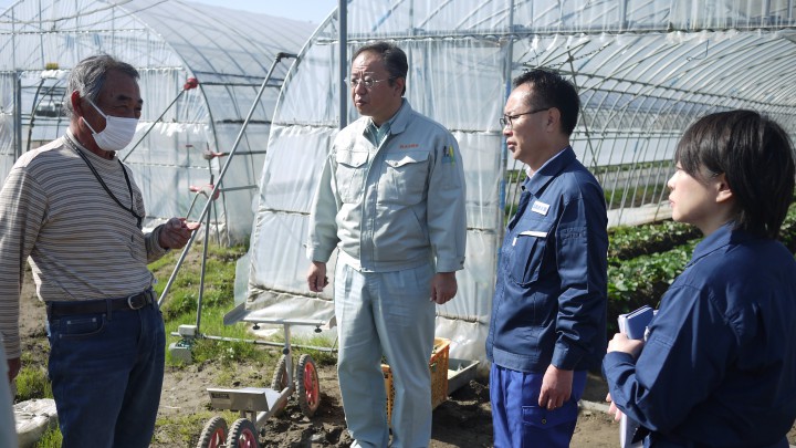 佐野市いちご農家.JPG