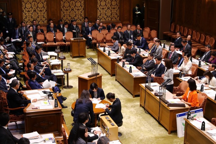 参院予算委員会で質疑する徳永エリ議員