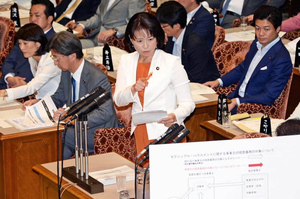 参院予算委 高プロの目的は経営側のニーズだ 伊藤孝恵議員 国民民主党